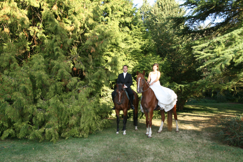 photo mariage - graine de coton