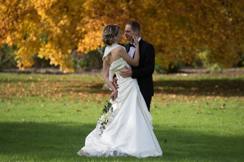 photo mariage - graine de coton