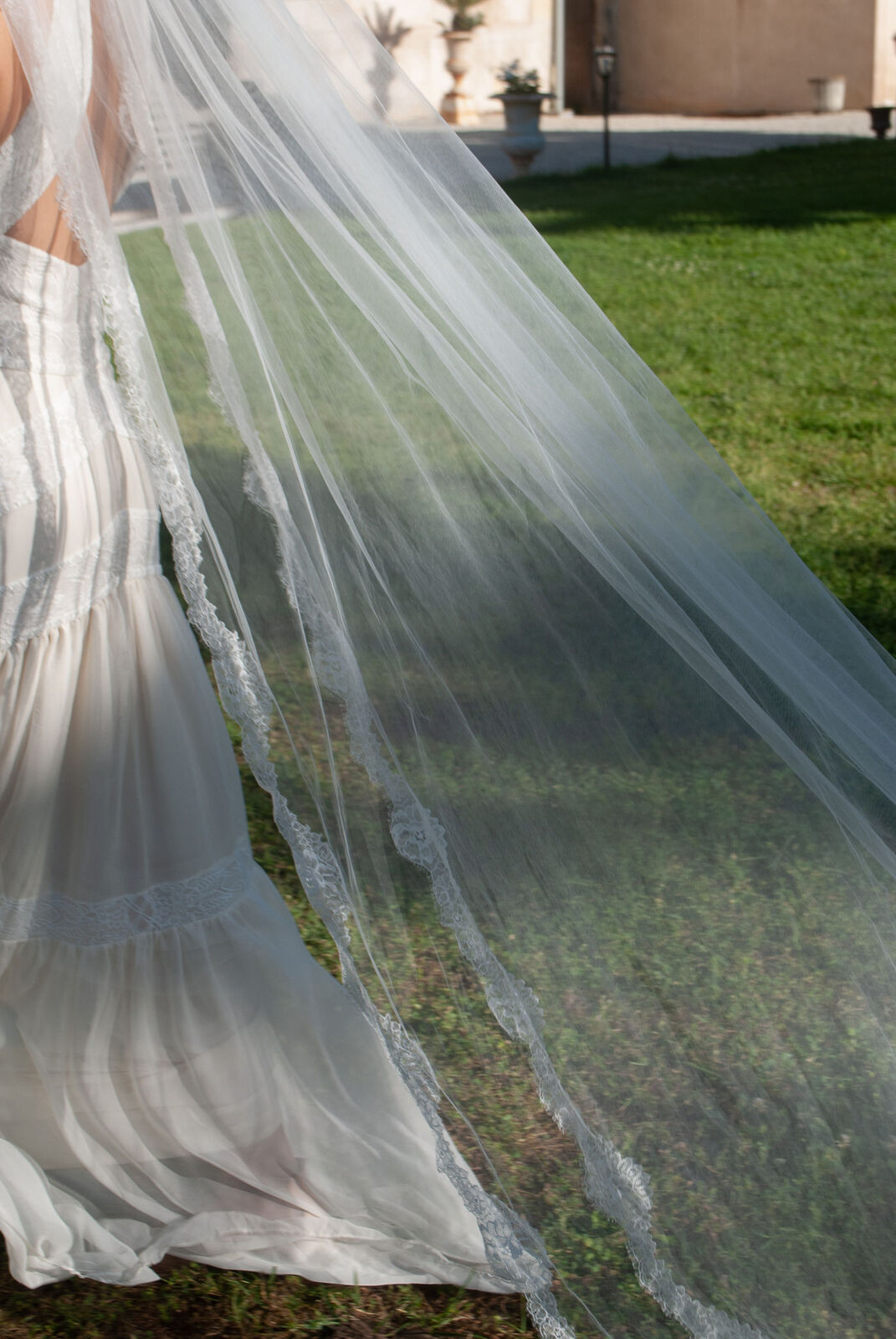 photo mariage - graine de coton