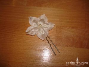 Orchidée de soie - Pic 