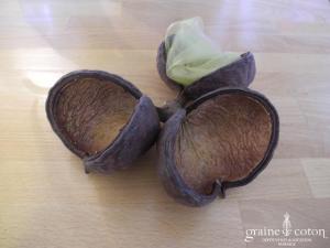 Écorce triple pour une déco bio