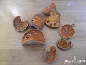 Sac de fruits du bengal séché