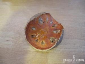 Sac de fruits du bengal séché