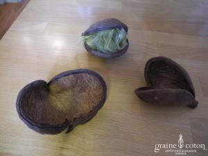 Écorce double pour une déco bio