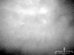 Étole en duvet de cygne ivoire clair