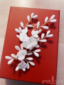 Maison Massillon - Peigne Roma